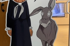 17